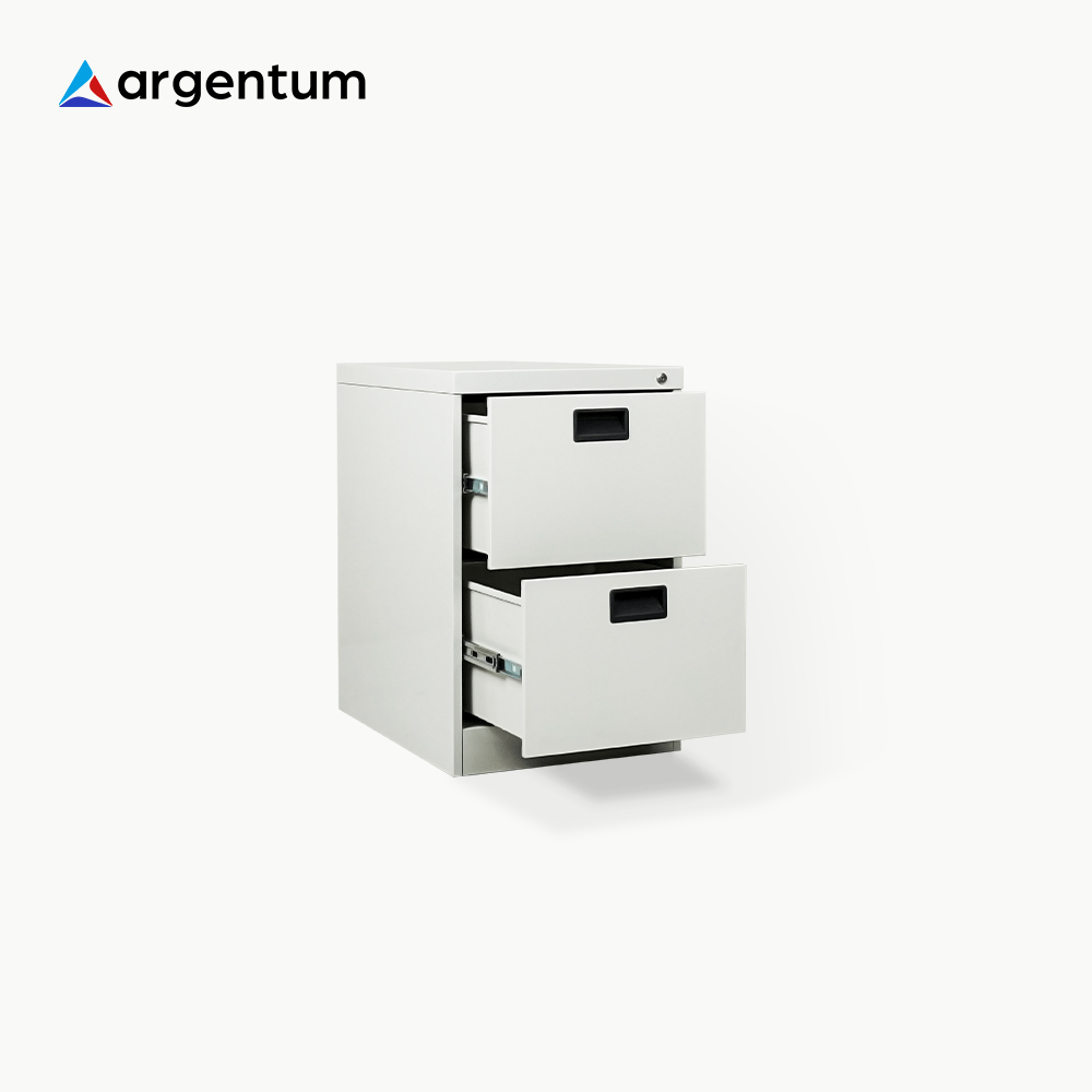 Filing Cabinet 2 Laci
