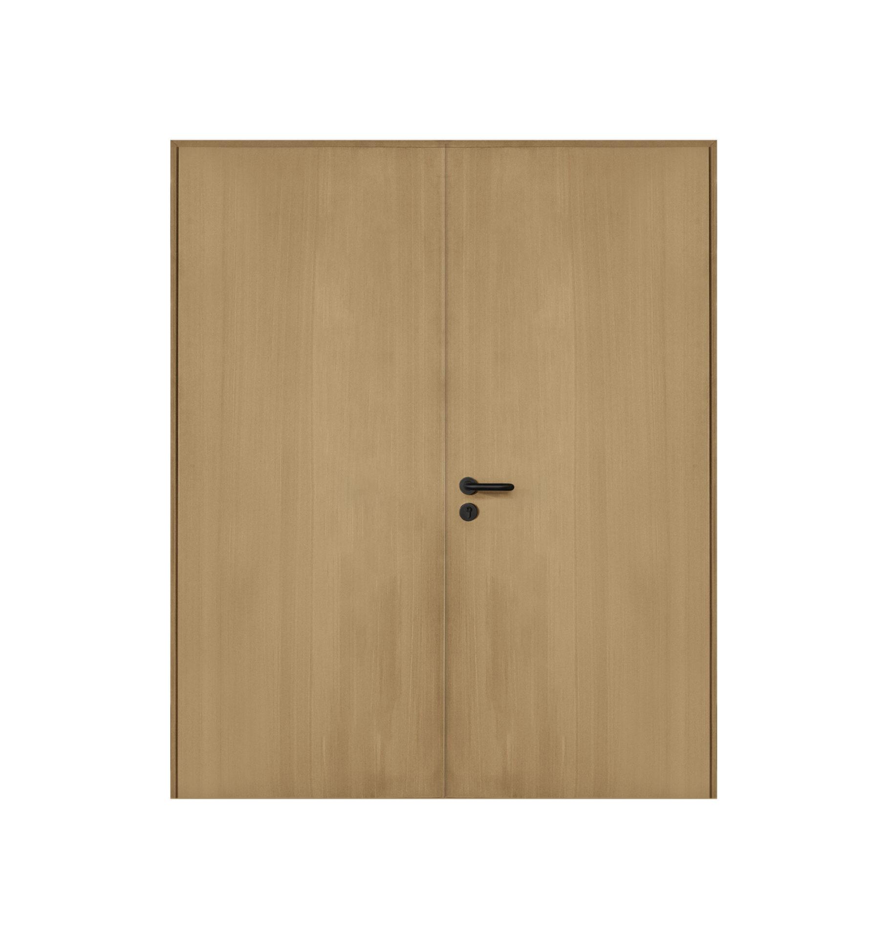 Alba Double Engineering Wood Door